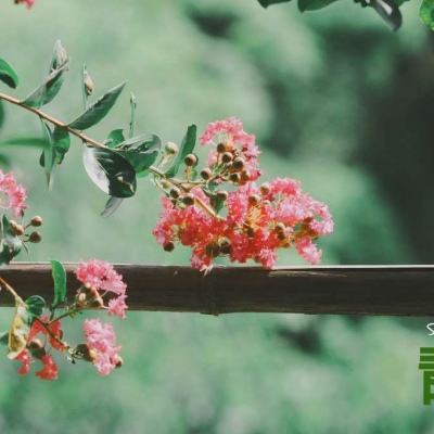 关于“开云电竞APP”下载手机版截图